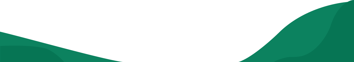 Footer Image